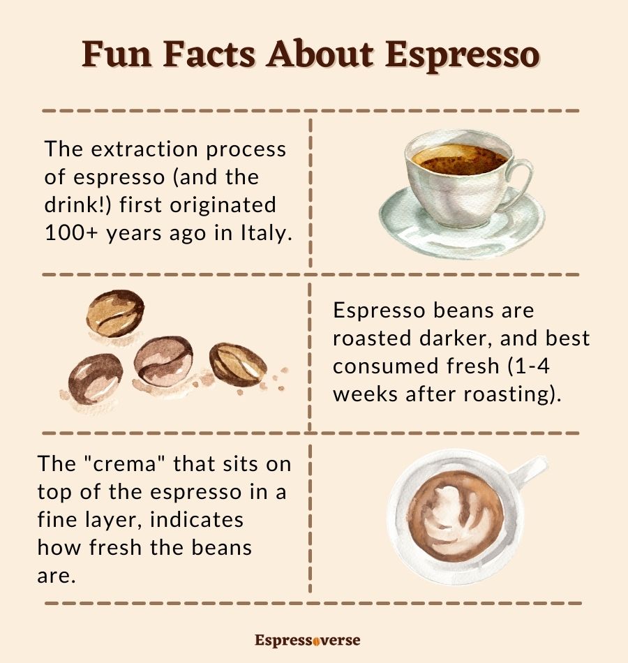 Fun Facts About Espresso