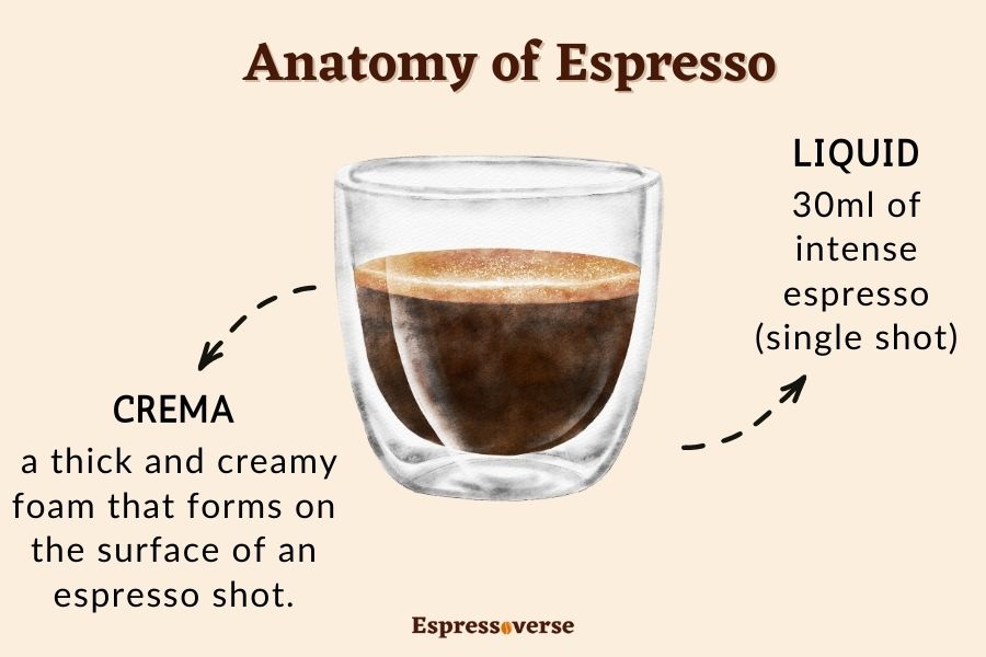 Anatomy of Espresso